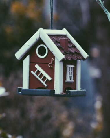 Photo housing finance